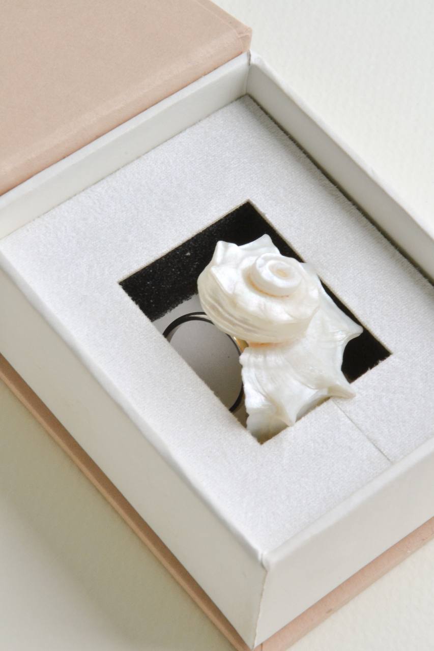MARE natural shell ring presented in a jewelry box